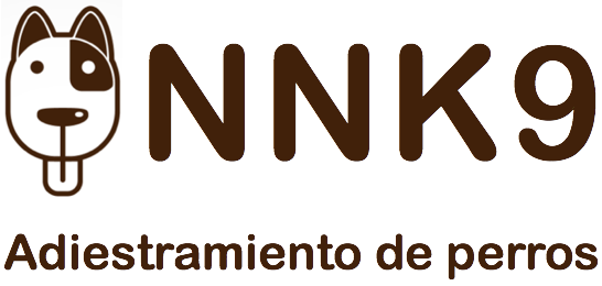 NNK9 NNK9